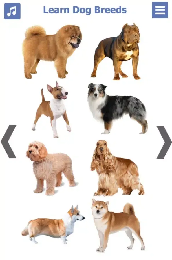 Dog Breeds Screenshots
