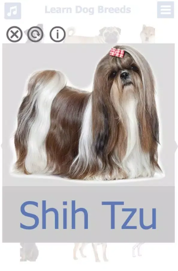 Dog Breeds Screenshots