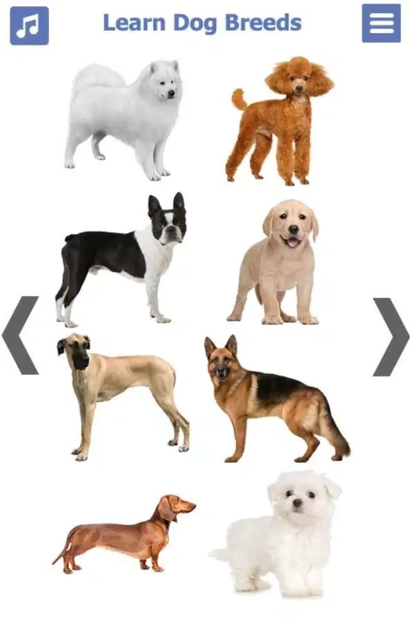 Dog Breeds Screenshots