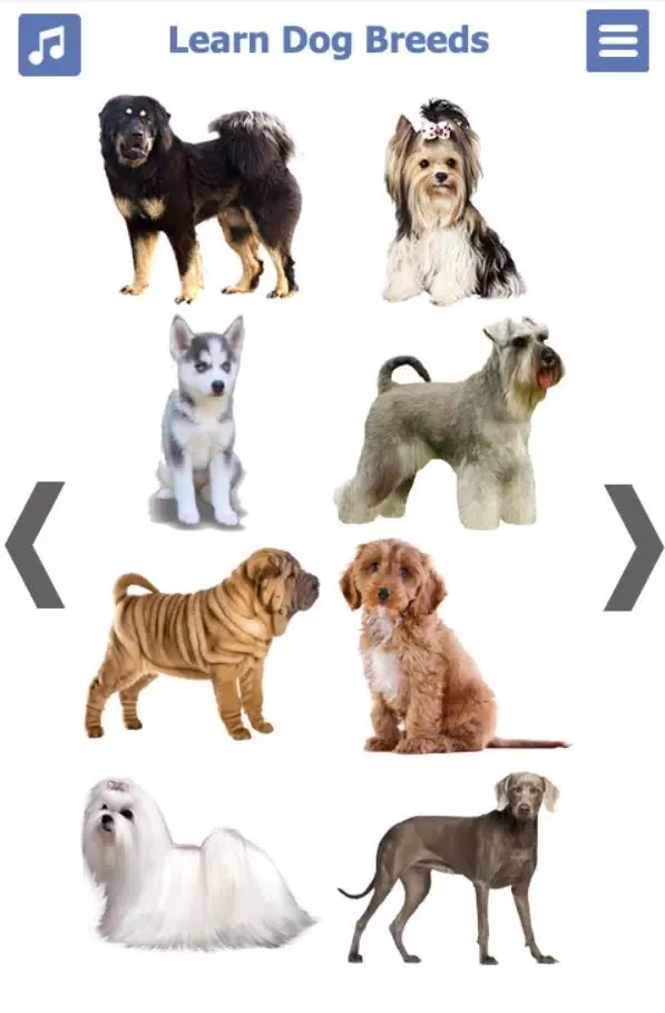 Dog Breeds Screenshots