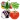 Learn Vegetables Name