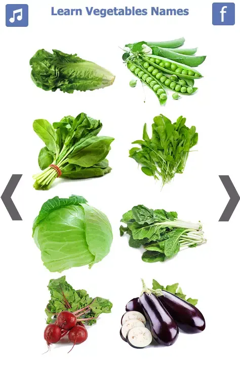 Screenshot di Learn Vegetables Name
