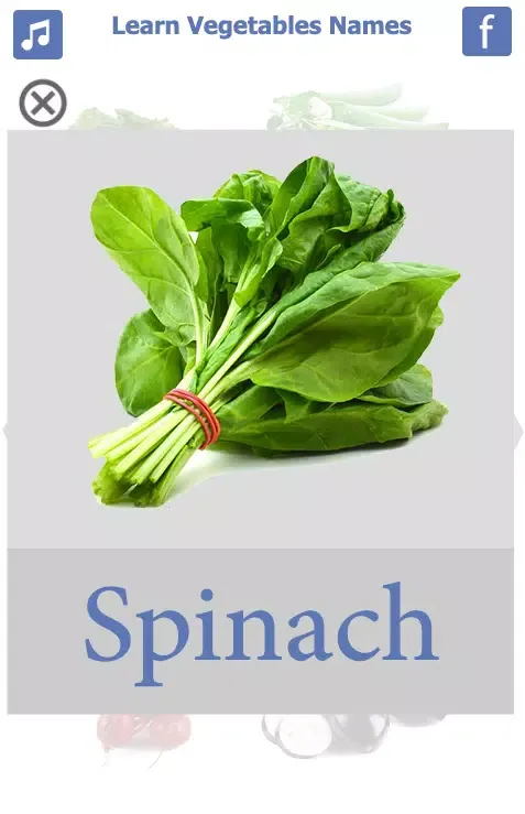 Screenshot di Learn Vegetables Name