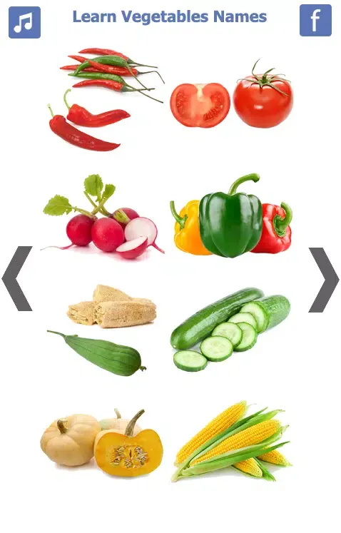 Screenshot di Learn Vegetables Name