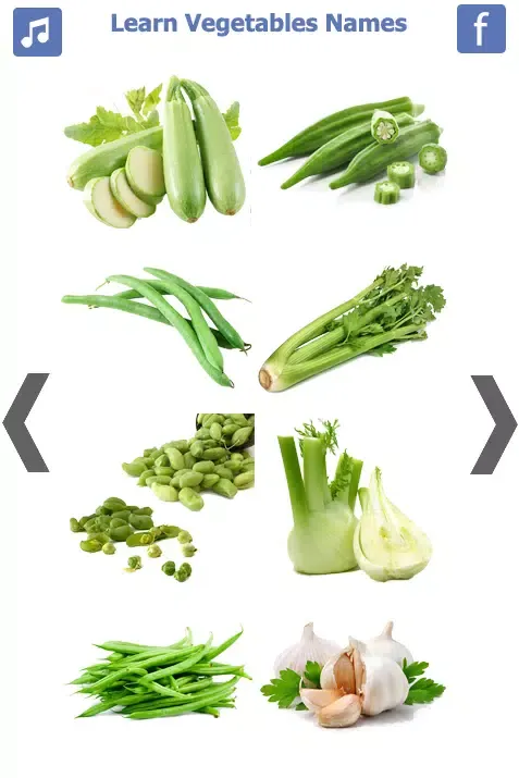Screenshot di Learn Vegetables Name