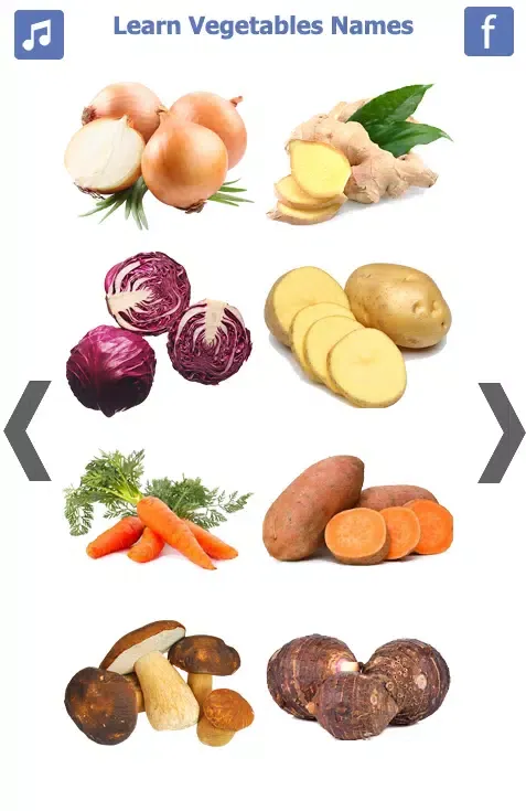Screenshot di Learn Vegetables Name