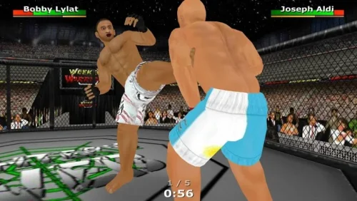 Weekend Warriors MMA-screenshot-1