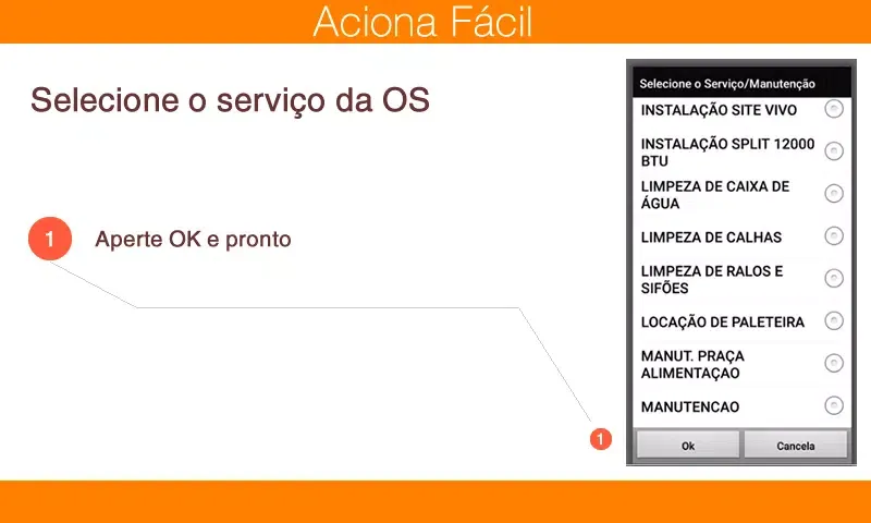 Capturas de tela do Aciona Fácil