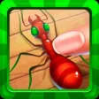 Ant Insect Smasher