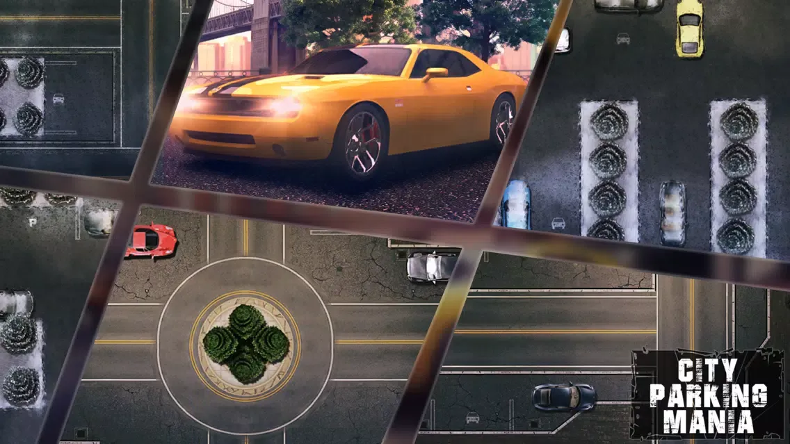 Скриншоты City Parking Mania