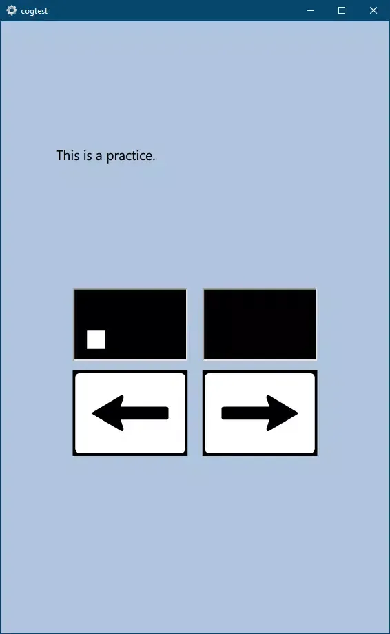 Cognitive Test Screenshots