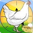 Colientita