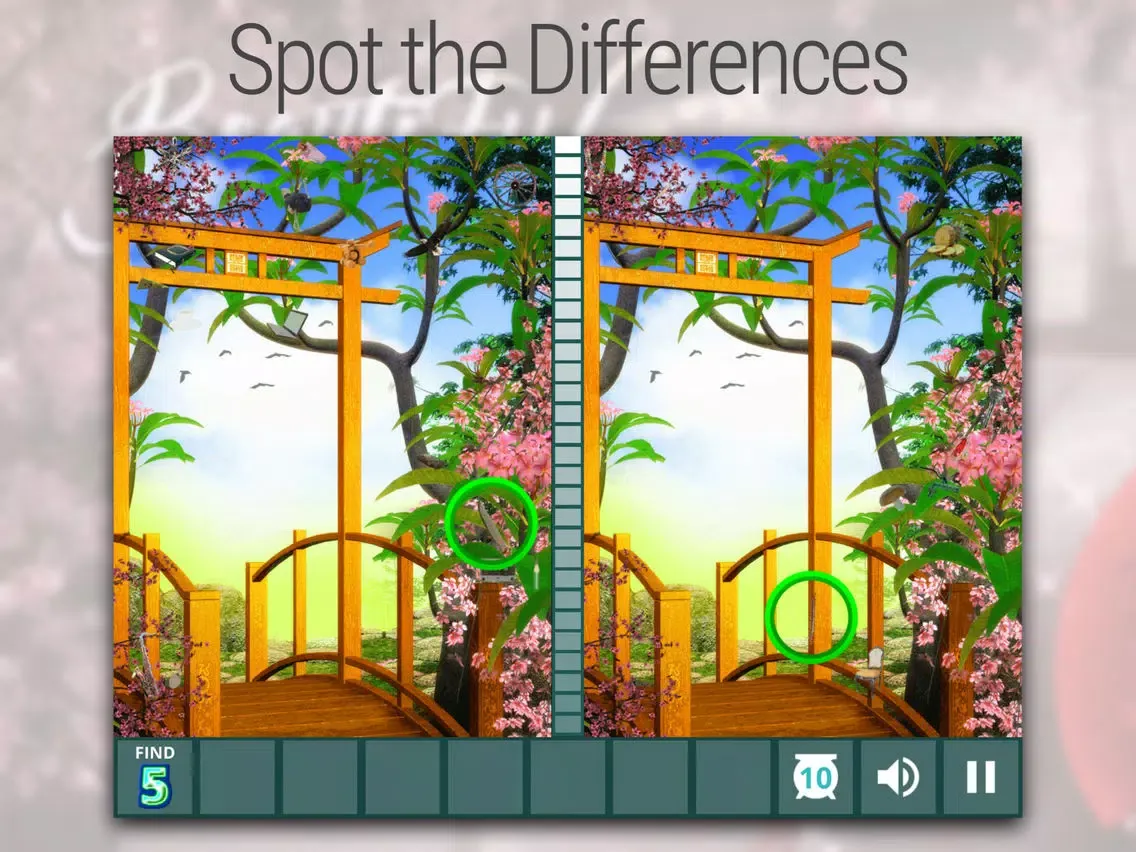 Hidden Difference: Beautiful Orient iPad  স্ক্রিনশট