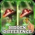 Hidden Difference: Gift of Spring