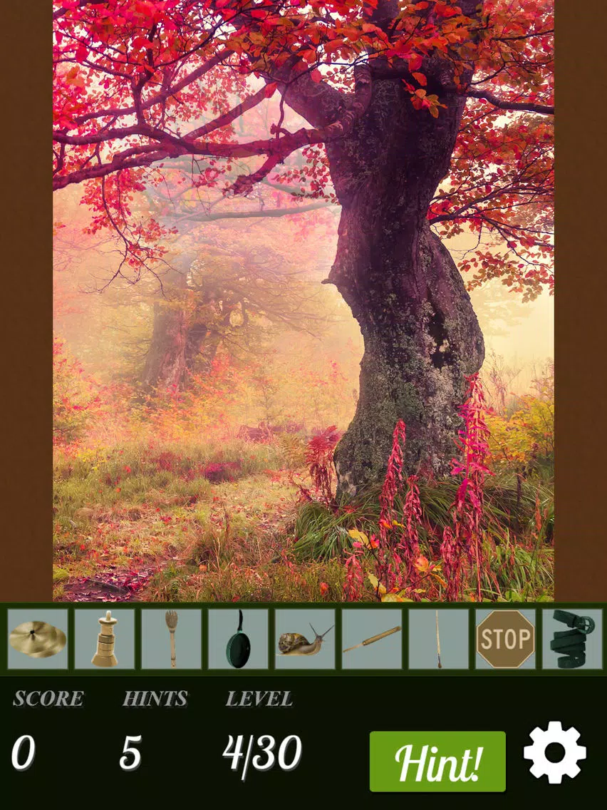 ภาพหน้าจอของ Hidden Object World iPad 