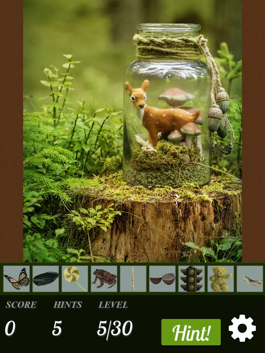 ภาพหน้าจอของ Hidden Object World iPad 