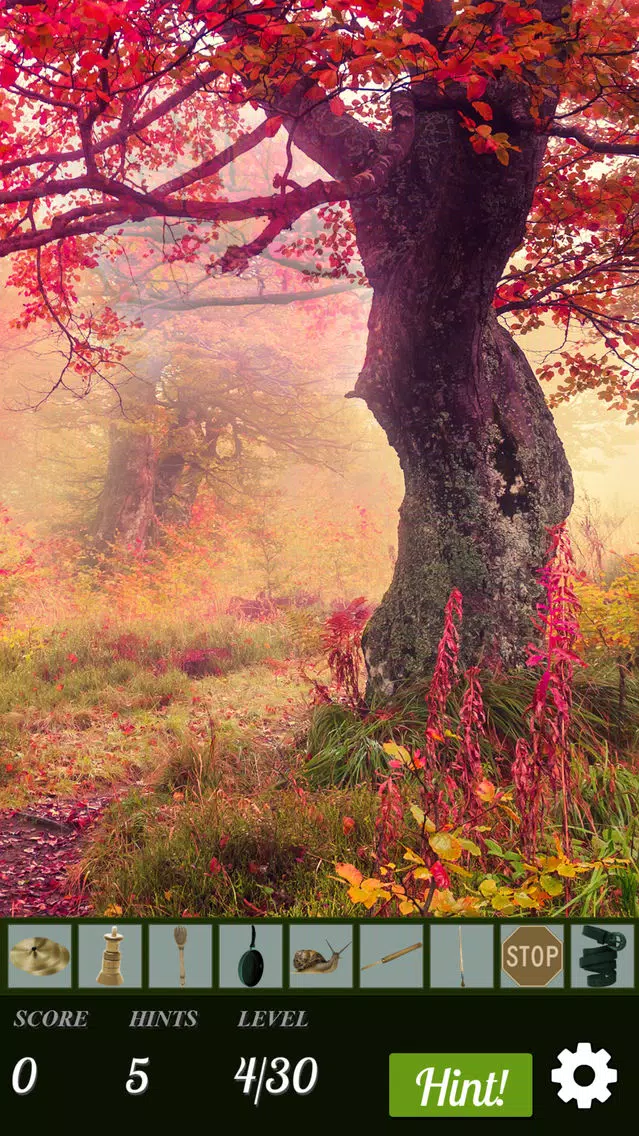 ภาพหน้าจอของ Hidden Object World