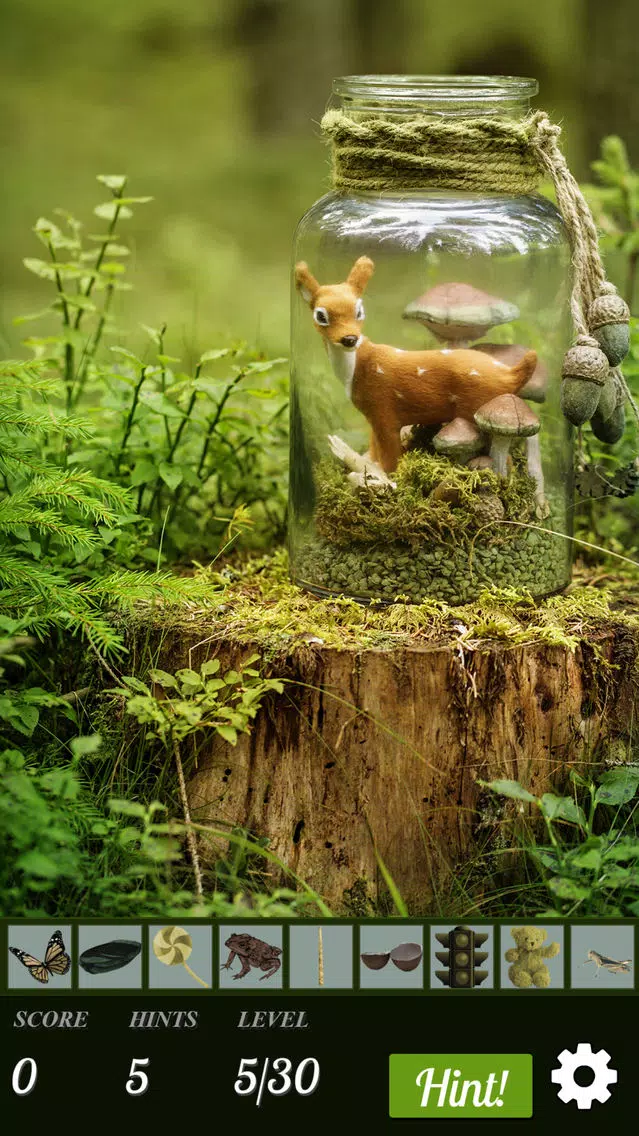 ภาพหน้าจอของ Hidden Object World