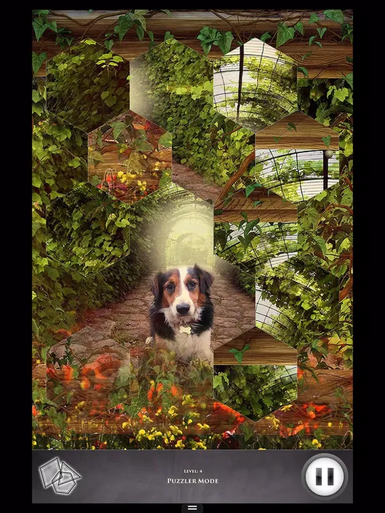 Zrzuty ekranu Hidden Scenes - Country Living iPad 