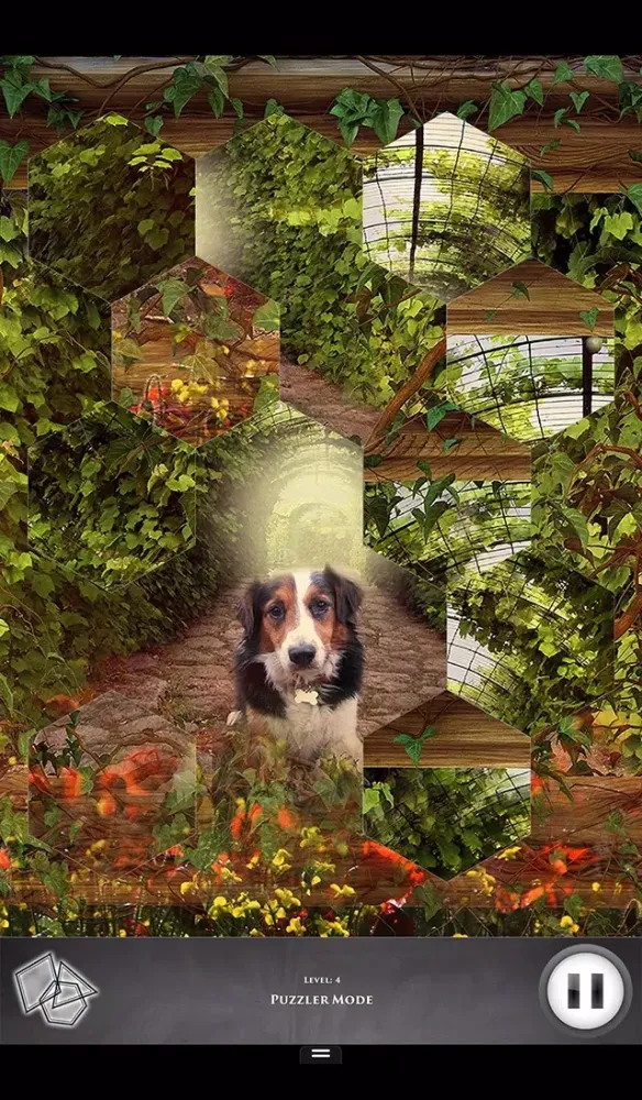 Zrzuty ekranu Hidden Scenes - Country Living