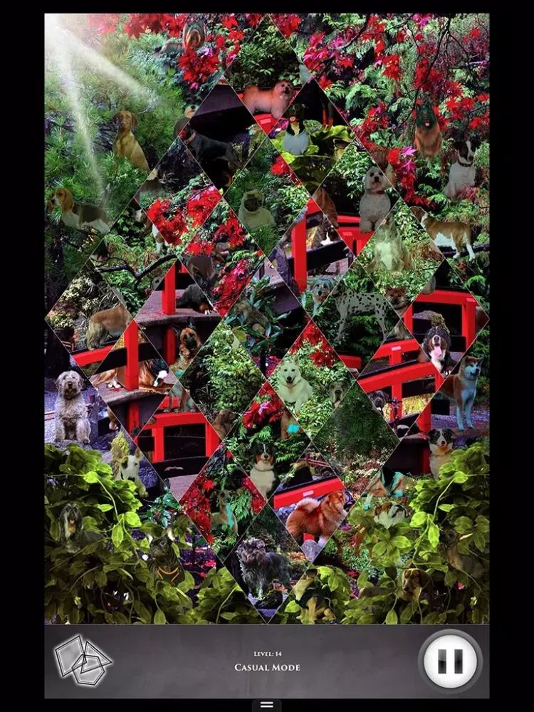 Hidden Scenes - Let the Dogs Out iPad  Ekran Görüntüleri