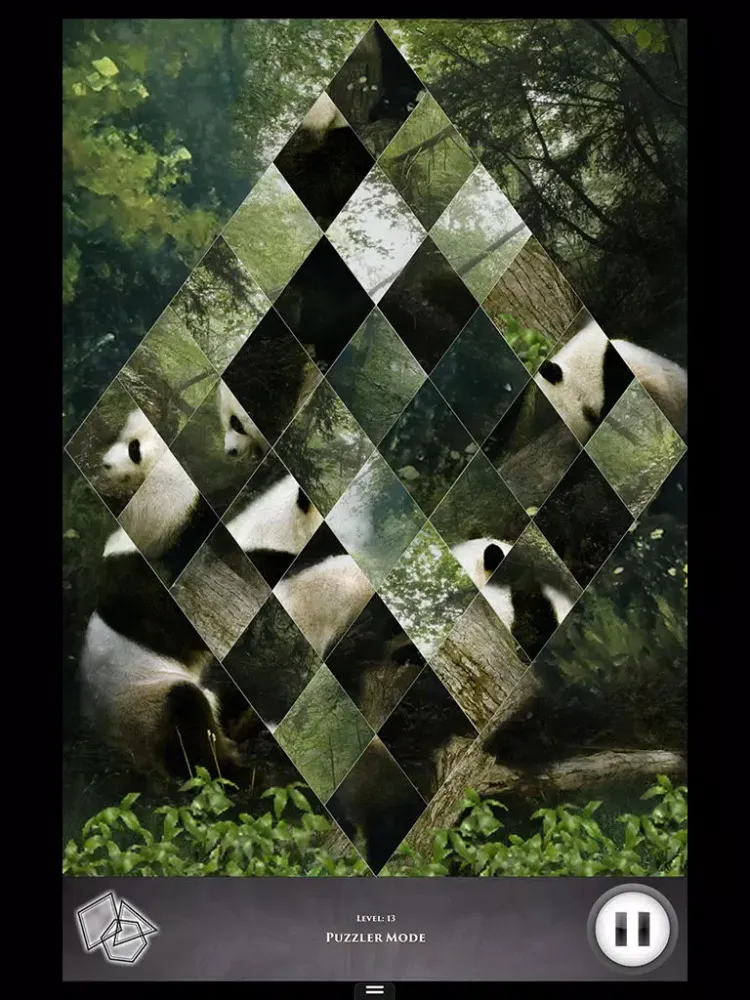 ภาพหน้าจอของ Hidden Scenes - Into the Wild iPad 