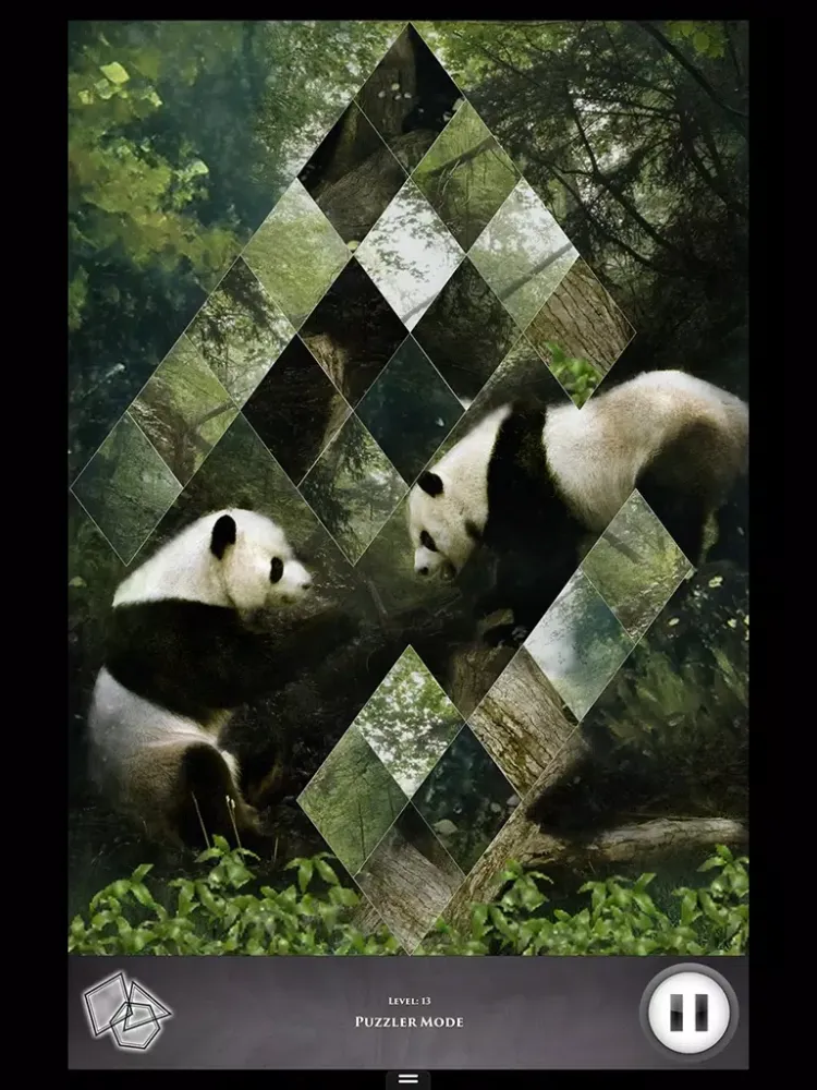 ภาพหน้าจอของ Hidden Scenes - Into the Wild iPad 