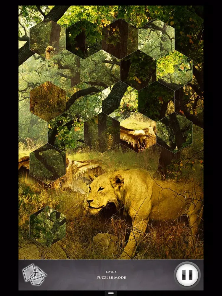 ภาพหน้าจอของ Hidden Scenes - Into the Wild iPad 