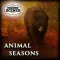 Hidden Scenes - Animal Seasons