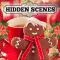 Hidden Scenes - Cozy Christmas