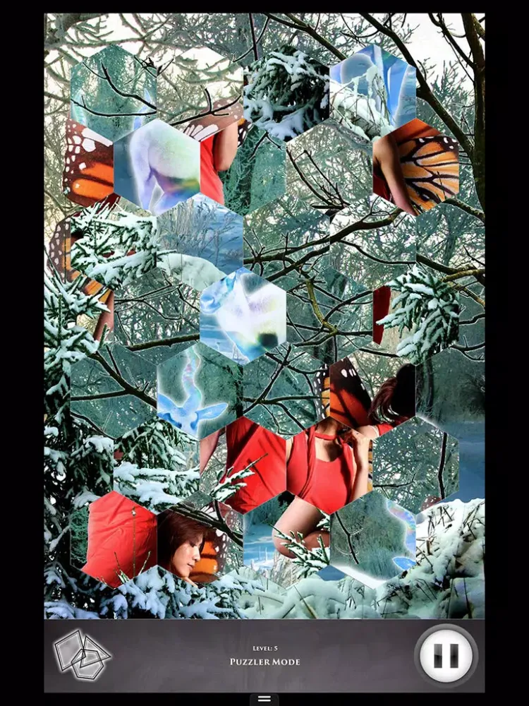 Hidden Scenes - Frost Fairies iPad  স্ক্রিনশট