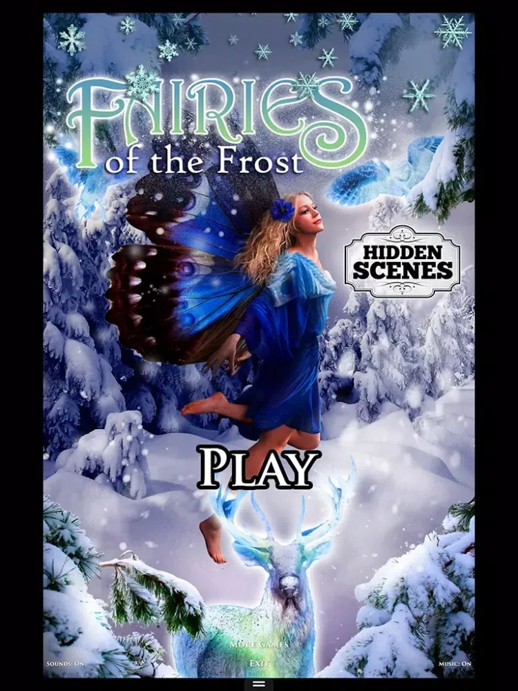 Hidden Scenes - Frost Fairies iPad  স্ক্রিনশট