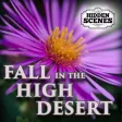Hidden Scenes - Fall in the High Desert Hidden Scenes - Fall in the High Desert