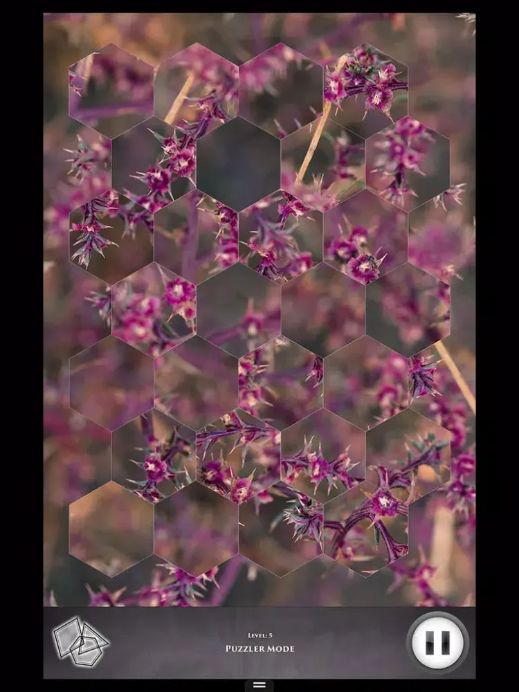 Hidden Scenes - Fall in the High Desert iPad  スクリーンショット