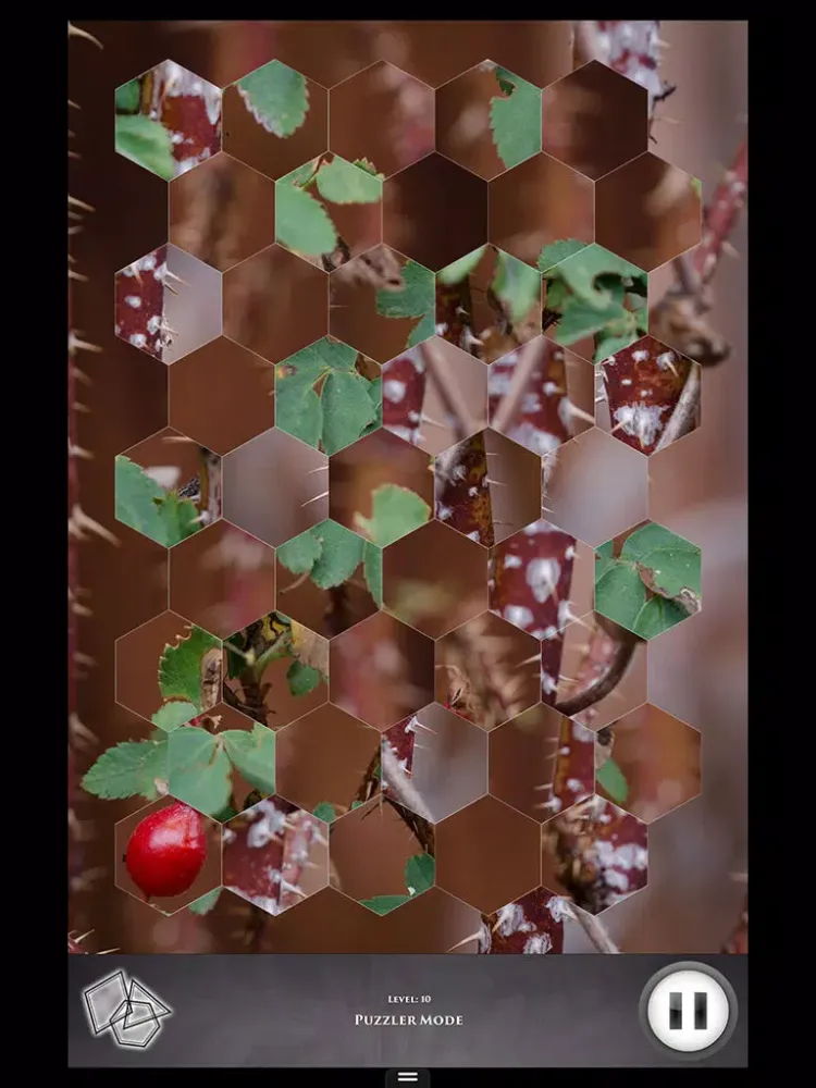 Hidden Scenes - Fall in the High Desert iPad  スクリーンショット