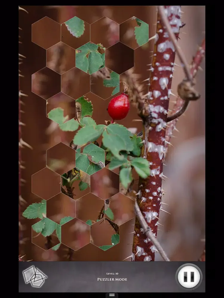 Hidden Scenes - Fall in the High Desert iPad  スクリーンショット
