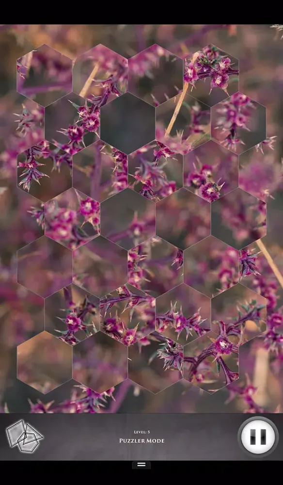 Hidden Scenes - Fall in the High Desert スクリーンショット