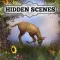 Hidden Scenes - Mother Nature