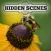 Hidden Scenes - My Little Bees