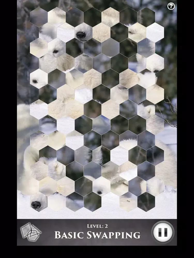 Screenshot di Hidden Scenes - Polar Bears iPad 