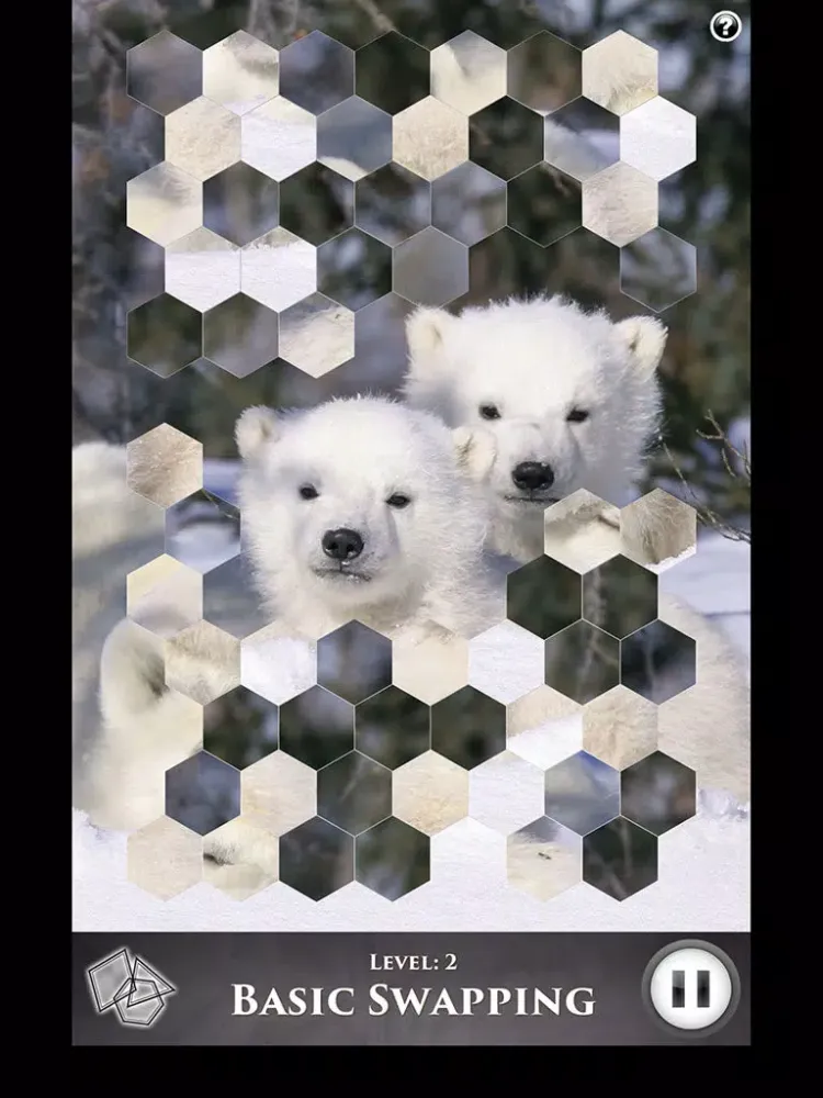 Screenshot di Hidden Scenes - Polar Bears iPad 