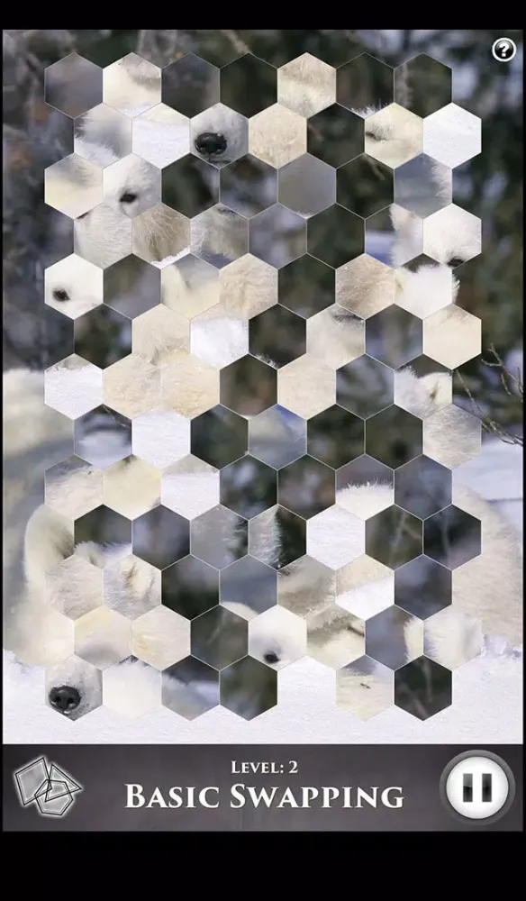 Screenshot di Hidden Scenes - Polar Bears