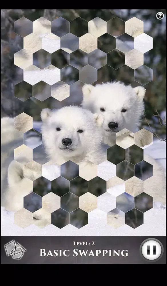 Screenshot di Hidden Scenes - Polar Bears