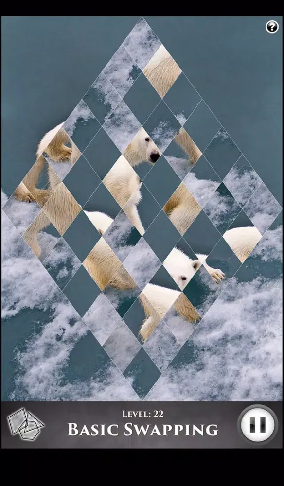 Screenshot di Hidden Scenes - Polar Bears