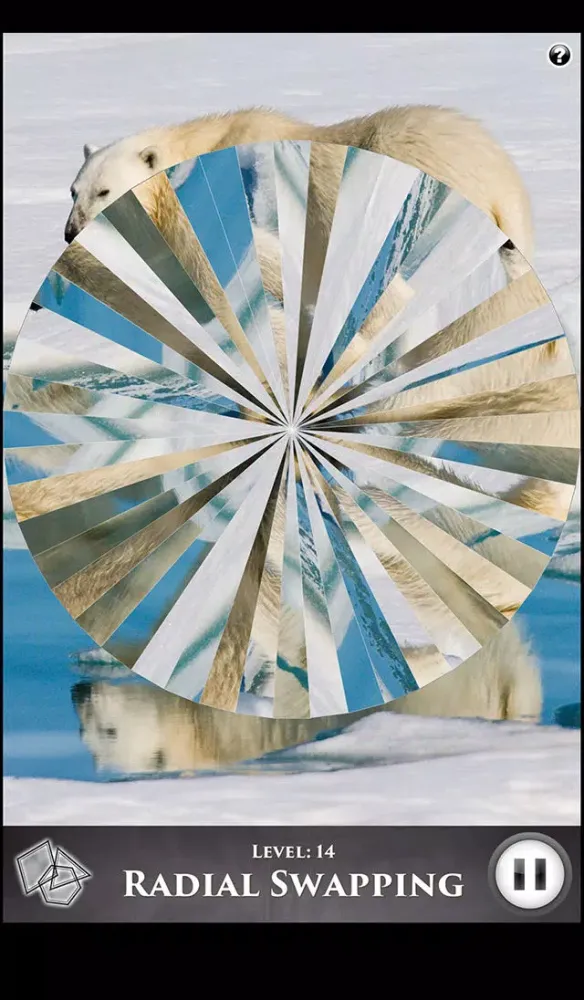 Screenshot di Hidden Scenes - Polar Bears