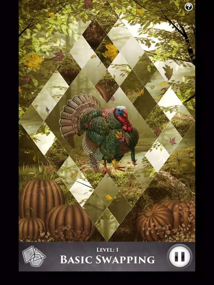 Hidden Scenes - Turkey Trot iPad  Ekran Görüntüleri