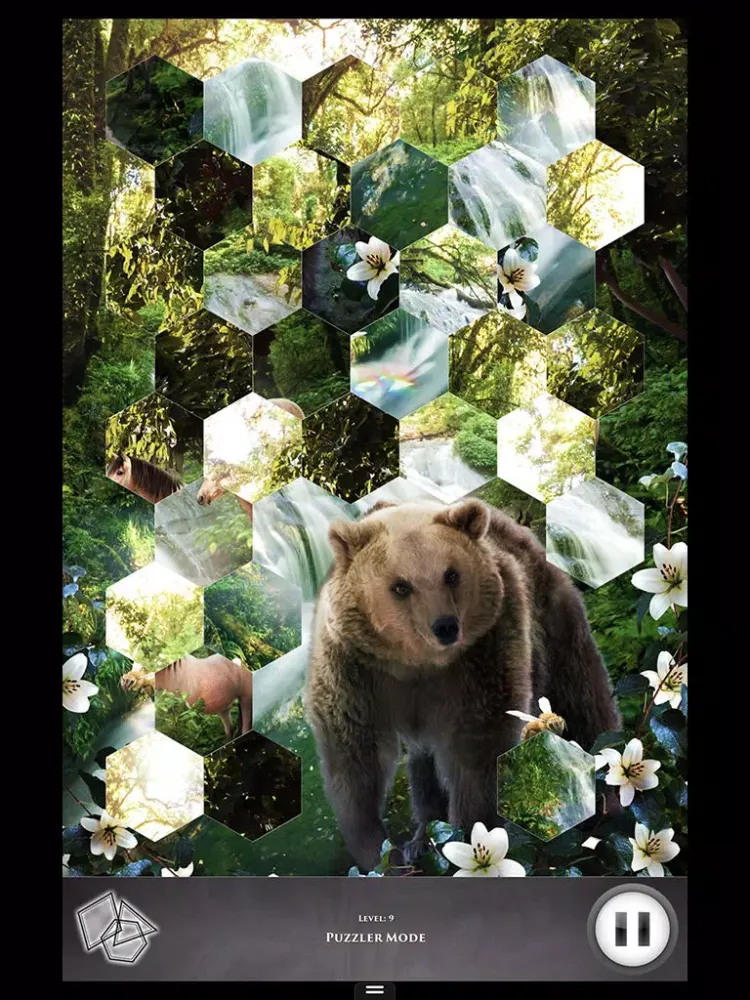 Zrzuty ekranu Hidden Scenes - Wilderness iPad 