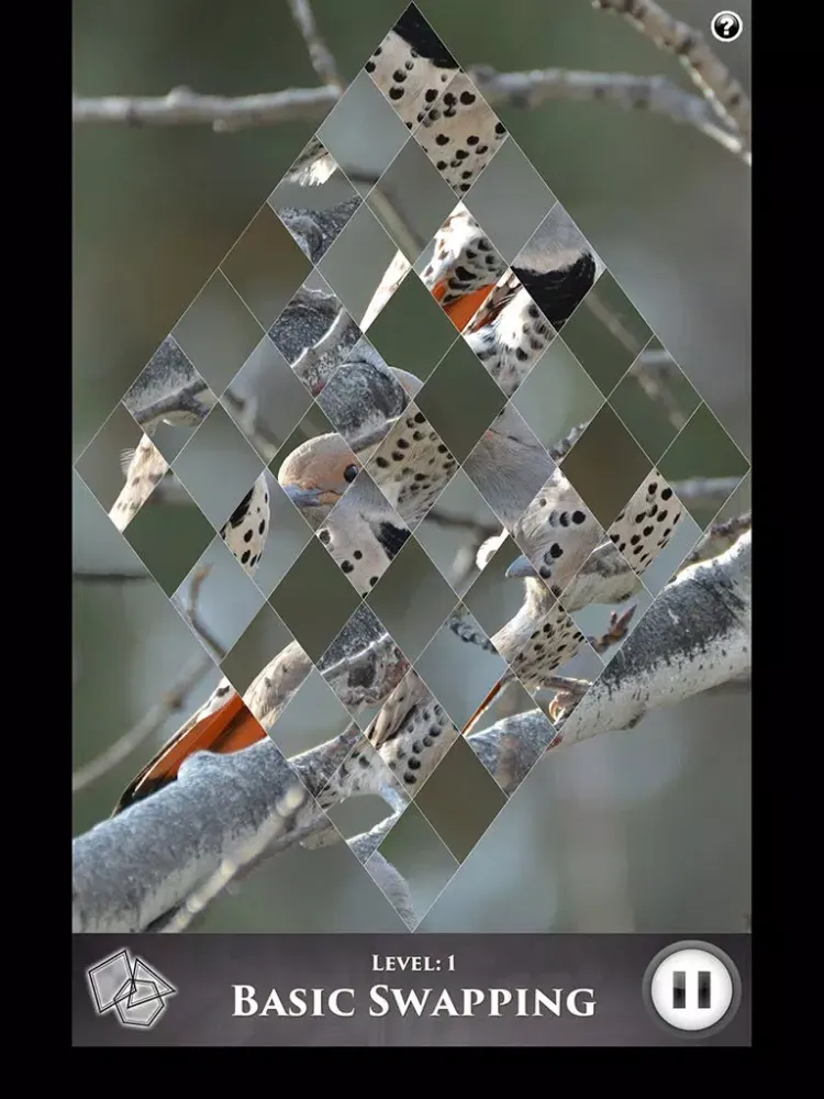 تصاویر Hidden Scenes - Winter Birding iPad 