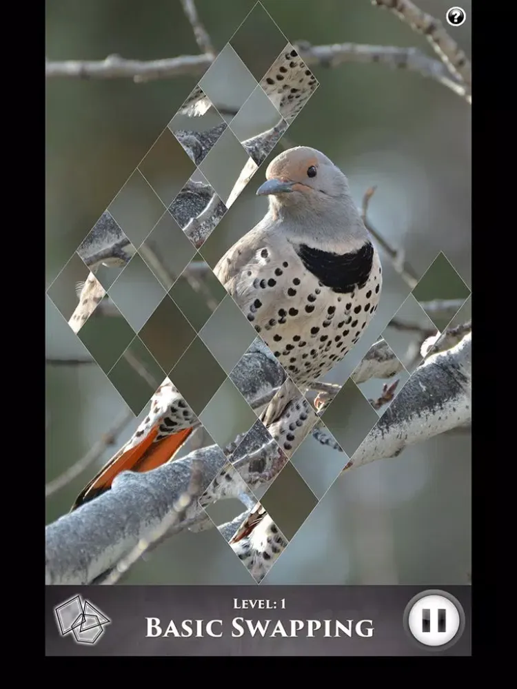 تصاویر Hidden Scenes - Winter Birding iPad 