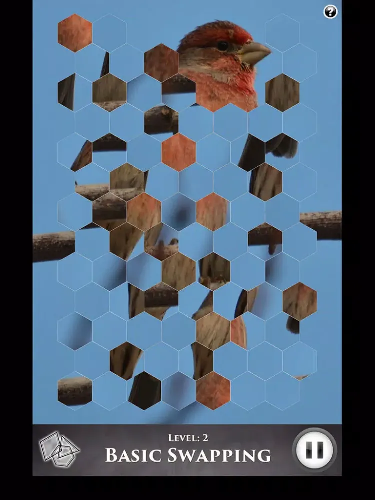 تصاویر Hidden Scenes - Winter Birding iPad 